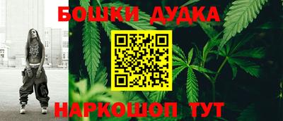 мдпв Можга