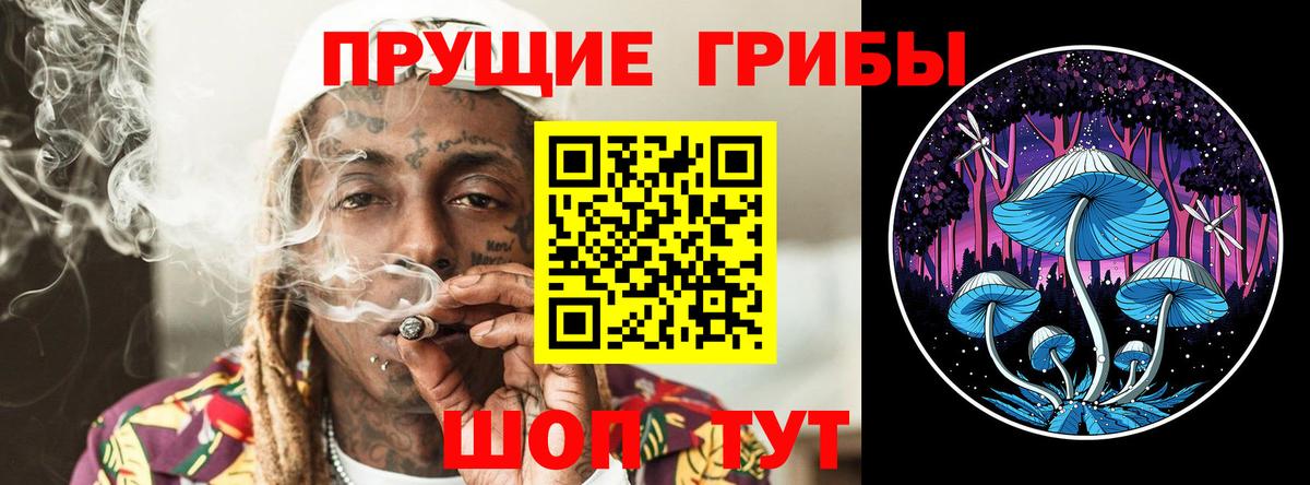 Татарск  что такое наркотик  Вход с VPN  Псилоцибиновые грибы Magic Shrooms 